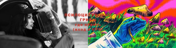 ПСИЛОЦИБИНОВЫЕ ГРИБЫ Елабуга