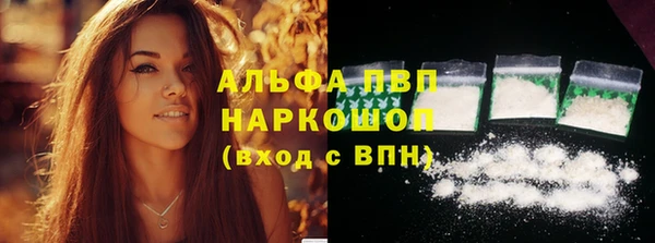 ПСИЛОЦИБИНОВЫЕ ГРИБЫ Елабуга