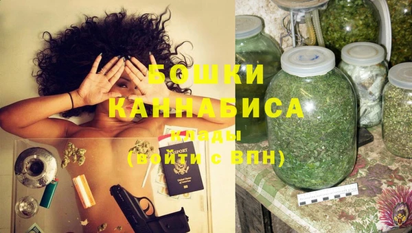ПСИЛОЦИБИНОВЫЕ ГРИБЫ Елабуга