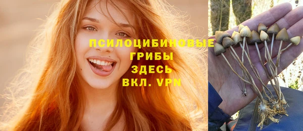 ПСИЛОЦИБИНОВЫЕ ГРИБЫ Елабуга