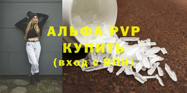 ПСИЛОЦИБИНОВЫЕ ГРИБЫ Елабуга