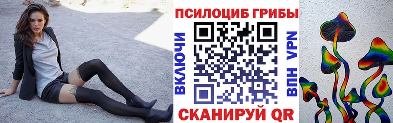 даркнет сайт  Западная Двина  blacksprut как зайти  Галлюциногенные грибы MAGIC MUSHROOMS 